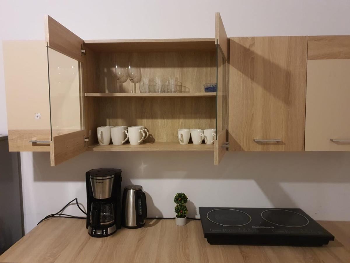 טימישוארה Apartament Enescu מראה חיצוני תמונה
