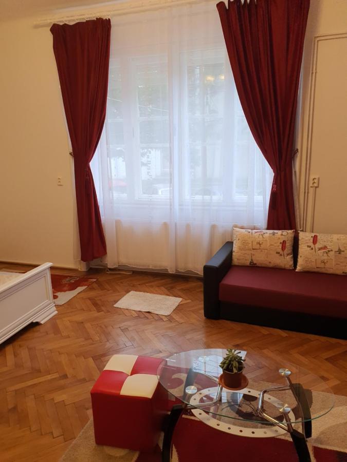 טימישוארה Apartament Enescu מראה חיצוני תמונה