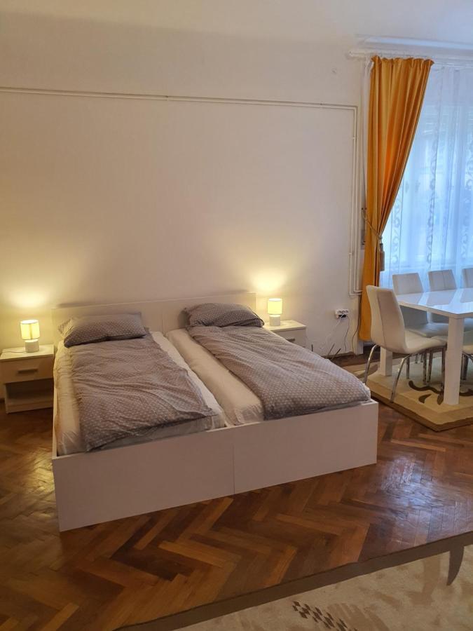 טימישוארה Apartament Enescu מראה חיצוני תמונה