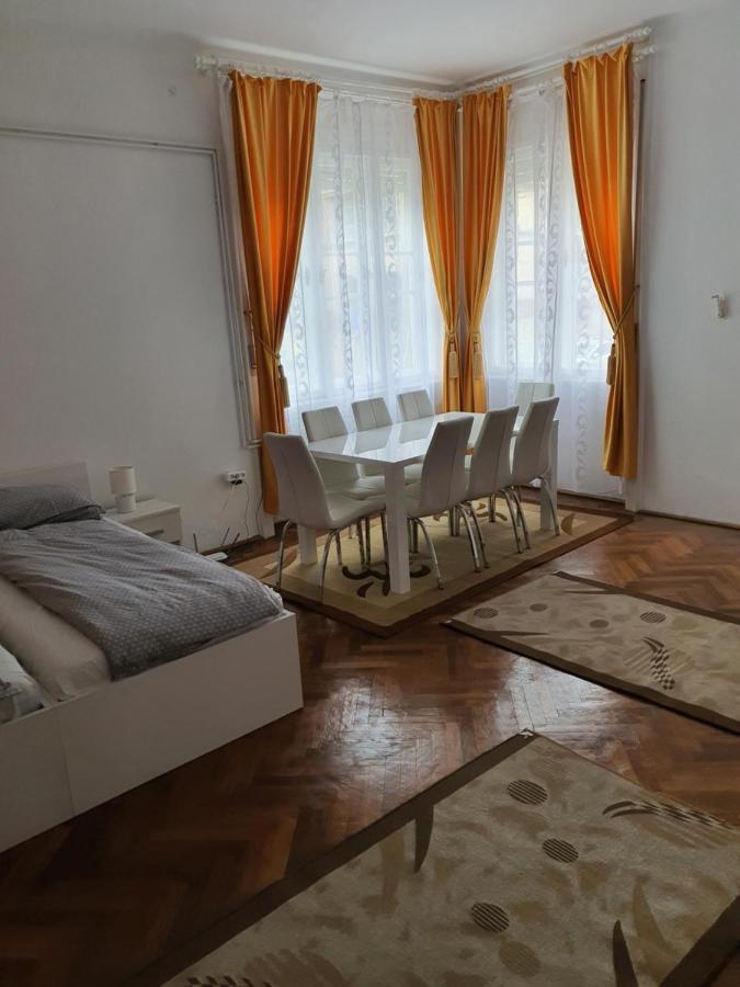 טימישוארה Apartament Enescu מראה חיצוני תמונה